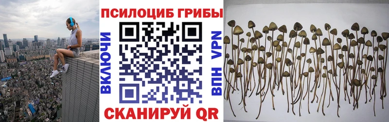 купить наркотик  Глазов  Псилоцибиновые грибы ЛСД 