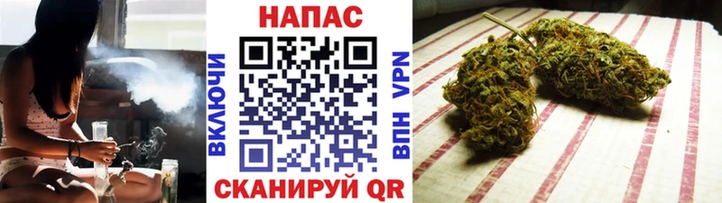 Марихуана сатива  Глазов 