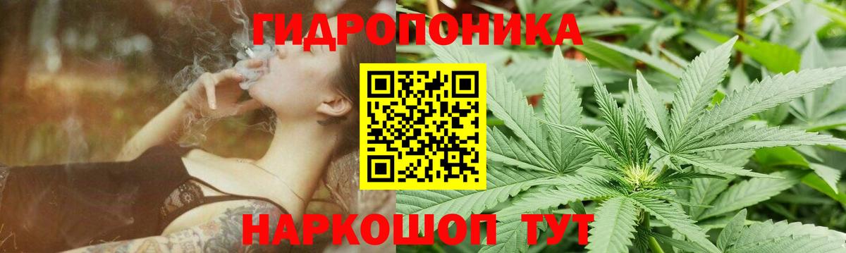 Канабис конопля  МАРИХУАНА конопля  Вход с VPN  Глазов  Каннабис гибрид 